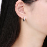 Anti-allergic titanium steel buckle earrings