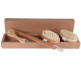 Full Bath & Body Brush - With Wooden Handle, Assorted Colour