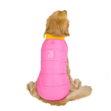 Autumn and winter pet clothing