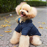 Autumn And Winter New Pet Supplies Dog Clothing