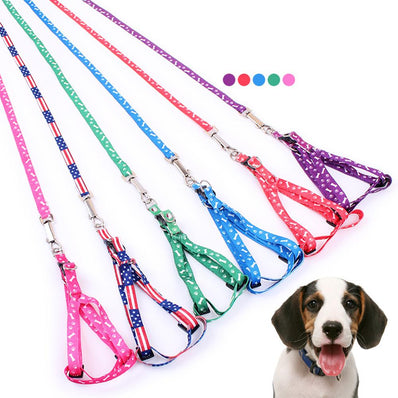 Pets Adjustable Collar Printed Harness & Leash